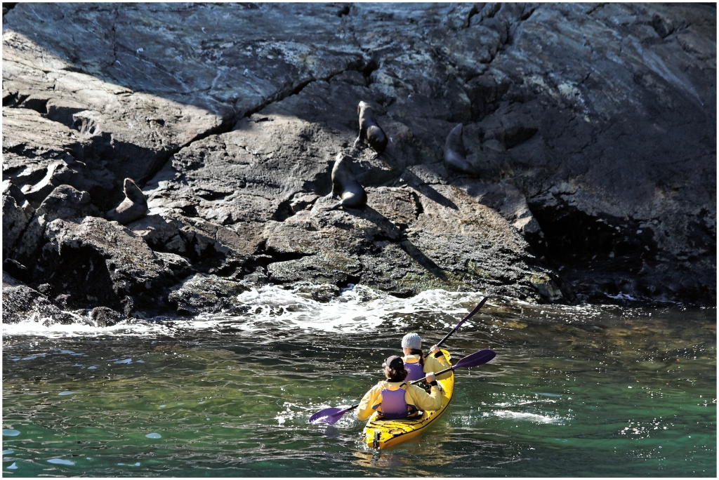 05 - Milford Sound (09).jpg